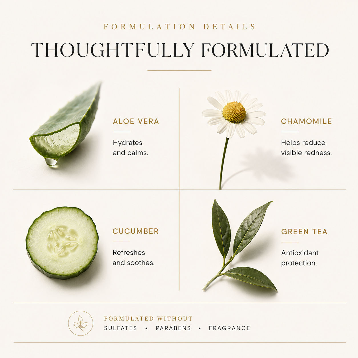 Antioxidant Plant Protein Face Cleanser